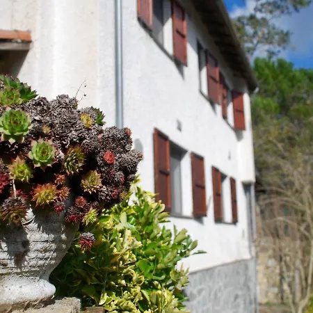Rustic In The Countryside For A Holiday Full Of Relaxation And Privacy Nyaraló *